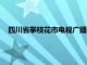 四川省攀枝花市电视广播大学属于哪个区（攀枝花电大官网）