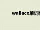 wallace单词什么意思（wallace）