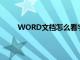 WORD文档怎么看字数（word文档怎么看字数）