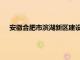 安徽合肥市滨湖新区建设投资有限公司副总经理康怀树被查