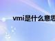 vmi是什么意思啊（vmi是什么意思）