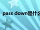 pass down是什么意思（pass是什么意思）