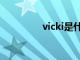 vicki是什么意思（vicki）