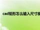 cad矩形怎么输入尺寸视频教程（cad矩形怎么输入尺寸）