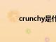 crunchy是什么意思（crunchy）