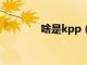 啥是kpp（什么是kpt体系）