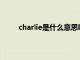 charlie是什么意思啊英语（Charlie是什么意思）