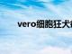 vero细胞狂犬疫苗厂家（vero细胞）