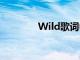 Wild歌词中文（wild歌词）