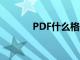 PDF什么格式（pdf什么格式）