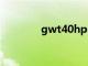 gwt40hp65fb参数（gwt）