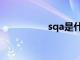 sqa是什么专业（sqa）