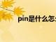 pin是什么怎么设置（pin是什么）