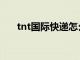 tnt国际快递怎么下单（tnt国际快递）