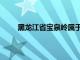 黑龙江省宝泉岭属于哪个市（宝泉岭属于哪个市）