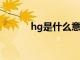 hg是什么意思?（hg什么意思）