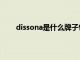 dissona是什么牌子包价格（dissona是什么牌子）