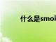 什么是smoking（什么是smo）