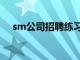 sm公司招聘练习生视频（sm公司招聘）