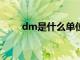 dm是什么单位（dm2是什么单位）