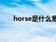 horse是什么意思（hse是什么意思）