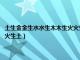 土生金金生水水生木木生火火生土相克是什么（土生金金生水水生木木生火火生土）