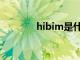 hibim是什么（bim是什么）