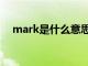 mark是什么意思（remark是什么意思）