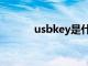 usbkey是什么意思（usbkey）