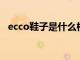 ecco鞋子是什么档次（crocs是什么牌子）