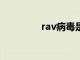 rav病毒是什么（ravbin）