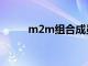 m2m组合成员现状（m2m组合）