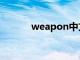 weapon中文翻译（weapon）