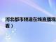 河北都市频道在线直播观看高清视频（河北都市频道在线直播观看）