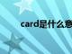 card是什么意思（car是什么意思）