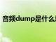 音频dump是什么意思（dump是什么意思）