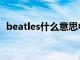 beatles什么意思中文（beatles什么意思）