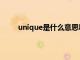 unique是什么意思啊英语（unique是什么意思）