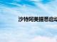 沙特阿美据悉启动2021年以来首次债券发行