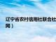 辽宁省农村信用社联合社app下载（辽宁省农村信用社联合社官网）