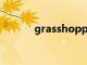 grasshopper怎么读（grass）