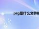 prg是什么文件格式（prt是什么格式文件）