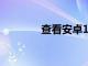 查看安卓13的内部甜点代号