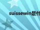 suissewin是什么牌子的包（suisse）