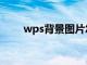 wps背景图片怎么设置（wps背景）