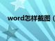 word怎样截图（word如何截图截完整）