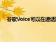 谷歌Voice可以在通话期间在蜂窝网络和WiFi之间切换