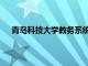 青岛科技大学教务系统入口（青岛科技大学教务系统）