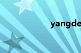 yangdex（yang）