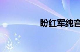 盼红军纯音乐（盼红军）